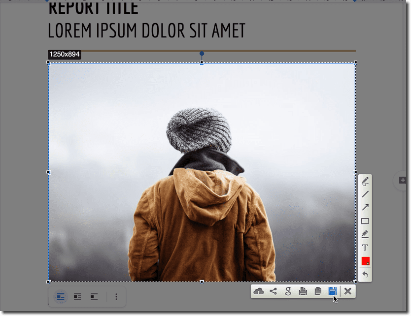 save google docs image using screenshot tool